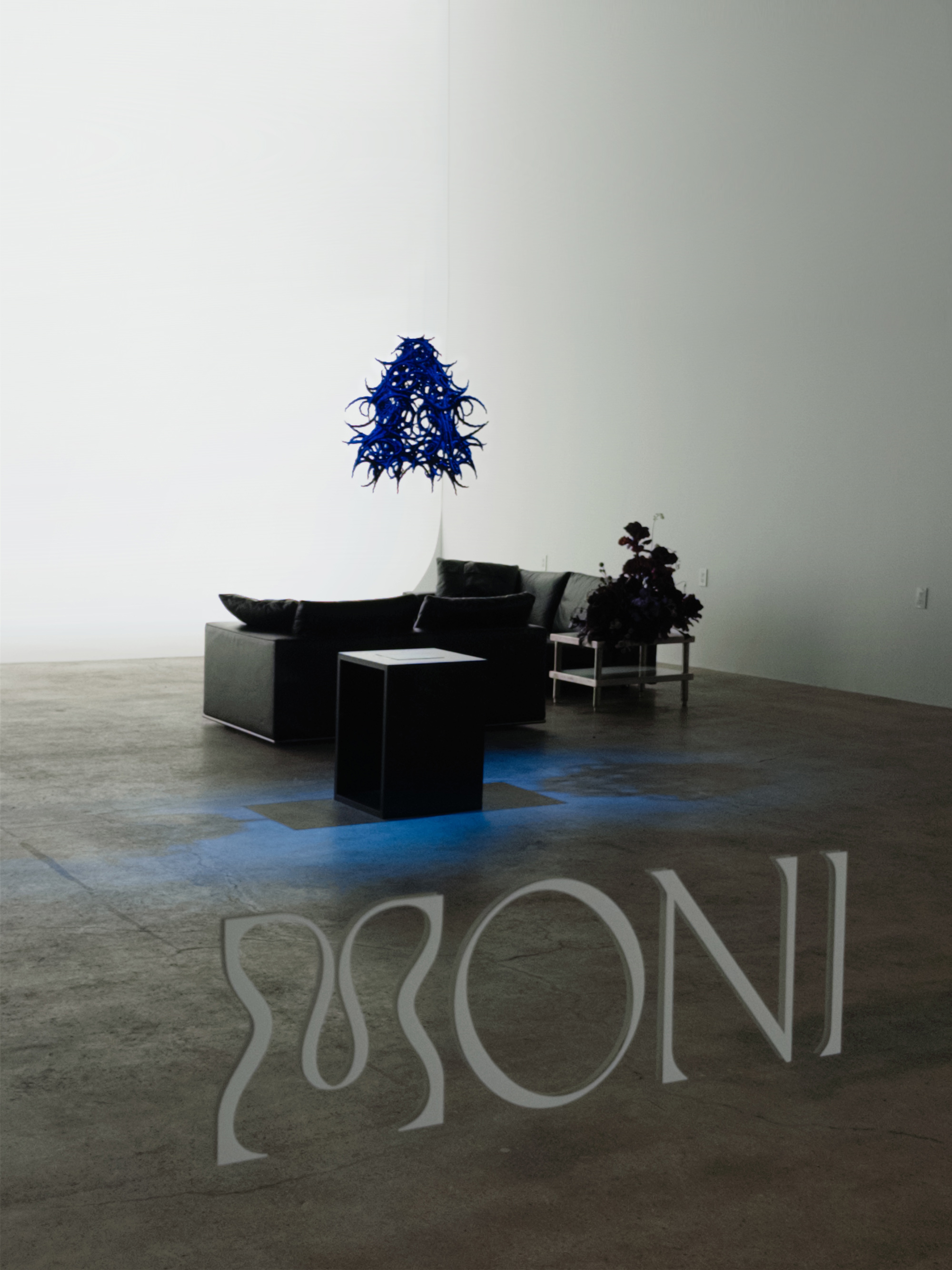 Moni — view 3（差し替え予定）